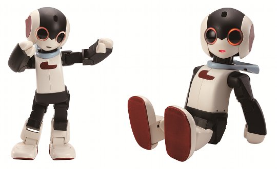 Robi Robot (Pre-assembled Version) | Japan Trend Shop