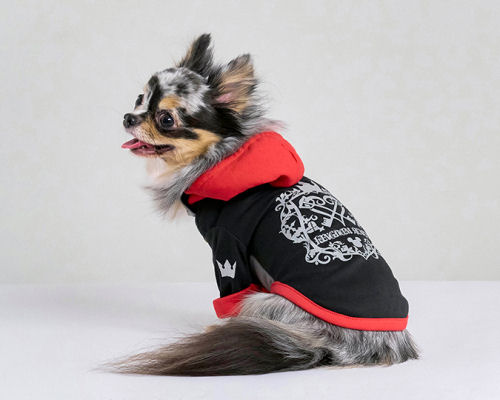 犬服・アクセサリー SORA Kingdom Hearts Pets Sora Costume | Japan Trend Shop