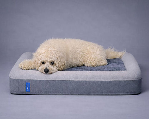 GuGu Doggie Bed | Japan Trend Shop