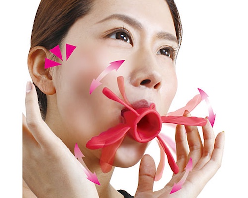 Lourdes Face Make Roller | Japan Trend Shop