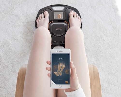 SixPad Foot Fit Training Gear | Japan Trend Shop