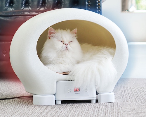 Animal Capsule Hotel ヒーター animal-capsule-hotel-pet-cat-