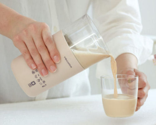 Recolte Soy & Soup Blender | Japan Trend Shop