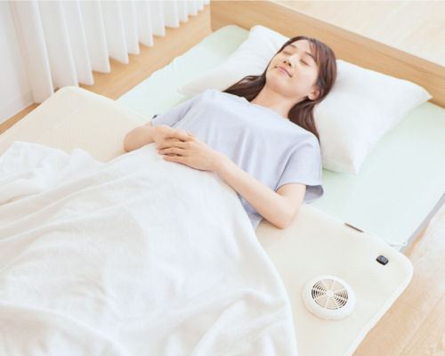 Mini Air-Conditioned Mat Soyo AX-BS630 | Japan Trend Shop